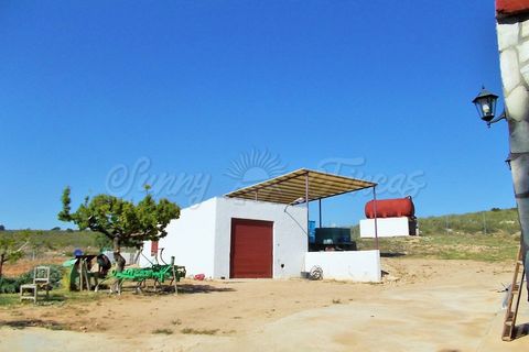 Farm hus i Yecla, Murcia, Yecla - € 410.000 | Ref: SF0064 - foto 13